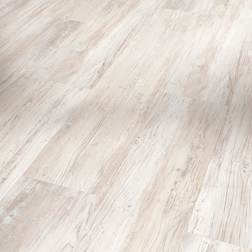 Сосна скандинавська била браш